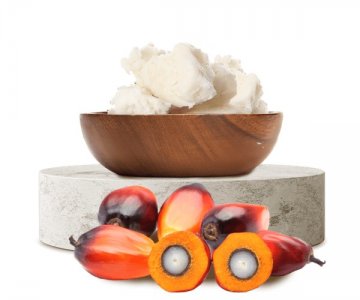 Hidrojene Palm Çekirdeği Olein (HPKOL)