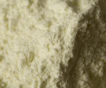 Yağlı Süt Tozu