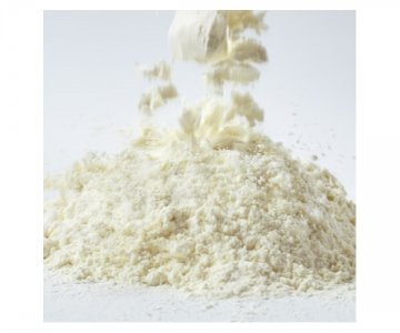 Peynir Altı Suyu Tozu