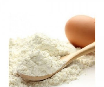 Yumurta Akı Tozu